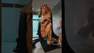 Музей. 40 тыс жителей