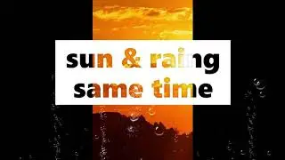 SUN  AND RAINS
