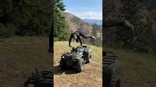 Peter Milan from Impact Shooting relaxing