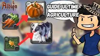 Ultime Farming Guide Albion Online (FR)