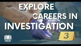 Explore Careers In Investigation | PICA