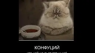 Кто цяй не пьёт - тот цьмо (Конфуций)
