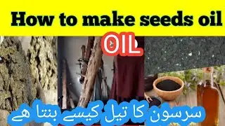 How make oil | Oil making | Seeds oil making simple way | 