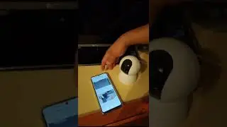 добавление камеры в приложение iCSee без показа qrкода с телефона камере.