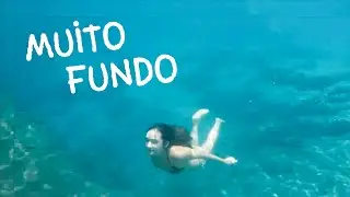 vlog- nadando em uma nascente na Florida!