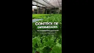 Desde que instalamos la máquina de iones en nuestro sistema,