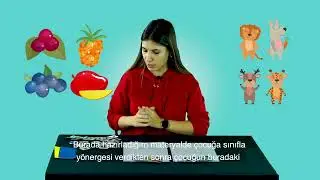 Altyazı Versiyon /  Sınıflandırma Becerısı
