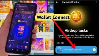 Hamster Kombat Wallet Connect | How to connect telegram ton wallet in Hamster Kombat