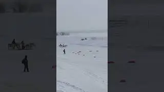 День оленевода в столице Ямала, город Салехард. 