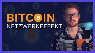 Bitcoin's Netzwerkeffekt & Warum er vielleicht nicht zu stoppen ist! - Artikel von Lyn Alden
