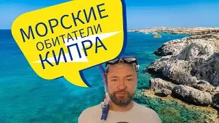 Морские Обитатели Кипра