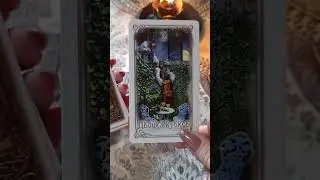 СОВЕТ ДЛЯ ВАС 🟣 