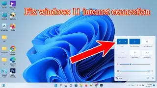 Fix windows 11 no internet access but connected ethernet