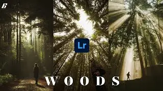 WOODS | Lightroom Mobile Preset | Forest Preset | Green Preset | Free DNG XMP download