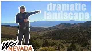 Nevada is 