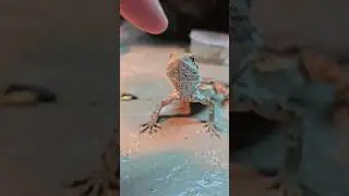 Inseguimento!!