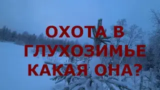 ОХОТА НА ЗАЙЦА ПО ГЛУБОКОМУ СНЕГУ!  