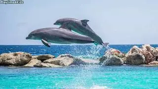 Animals Under The Sea Toys Playing In Blue Water Aquarium | Videos for Toddlers