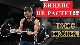 Бицепс не растет? Следуй этим правилам! (коротко и по существу)