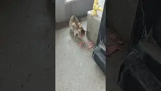 #iyilikdokunușu