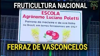 Projeto Escola Agronomo Luciano Poletti Sergio Semerdjian em Ferraz Cultivando História