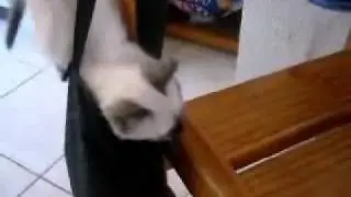 KiKa na Bolsa