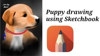 Puppy drawing/Dog/Auto desk sketchbook /layers