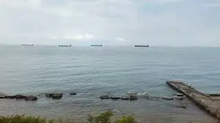 Поезд едет вдоль моря, красота черноморского побережья.