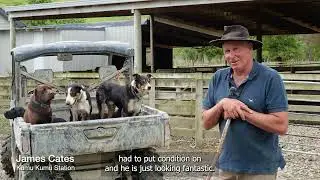 Stamina - James Cates