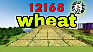 World biggest wheat farm ever | World Record | Pocket Edition Ep05