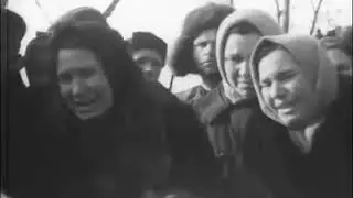 8 мая 2024 г.