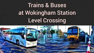 Trains & Buses at Wokingham Station Level Crossing | 28.11.24