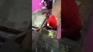 Вжлинк Герман Ягодка упал со ступенек 
