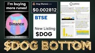 $DOG Reaches the Bottom? (You'll be SHOCKED)