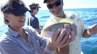 Fish, Fish and More Fish