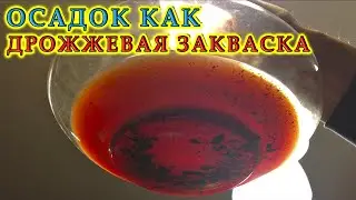 Осадок как дрожжевая разводка для будущего вина | Ответы на вопросы подписчиков