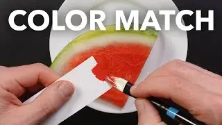 Color Matching Red Foods: Watermelon,  Apples, Pepper, Etc
