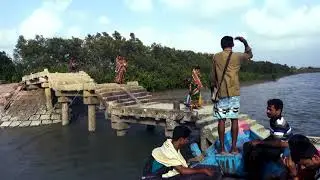 indian sundarban jungle#The largest Mangrove Forest in world