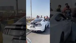 FORTUNER LOVER GANGSTAR STATUS 