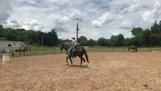 Duchess: Arena Work 30 June 2021 #2