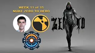 Week 11 Introduction