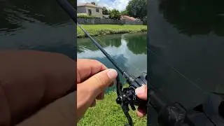 Caught Dinner #fishing