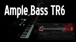 Ample Bass TR6 Loop/Improv