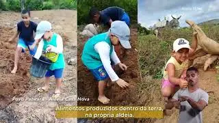 Alimentando o meu filho