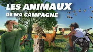These animals live in our countryside!! With @DorianTD