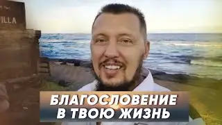 Благословение в твой день | Апостол Владимир Мунтян