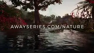 Soundscape Preview: Journey Into the Forest