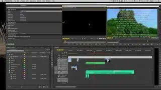 how to play full screen video in adobe premiere