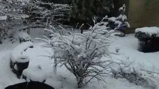 Sneeuw !