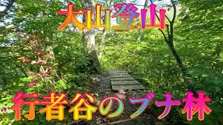 秋晴れの空 10月17日 金曜 晴れ 紅葉もうすぐ 